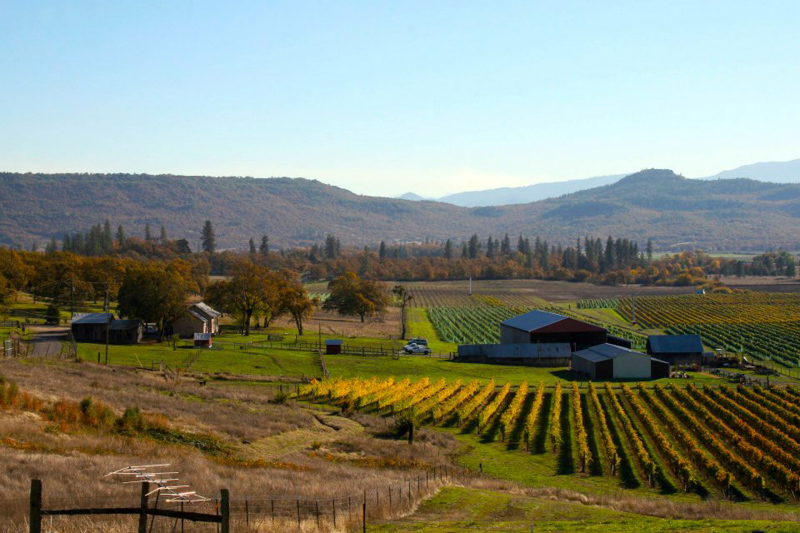 Cliff Creek vineyards in Sams Valley
