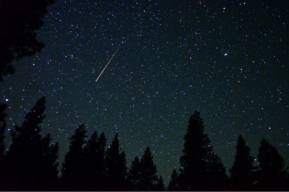 Shooting star in the Oregon Outback amongst trees.